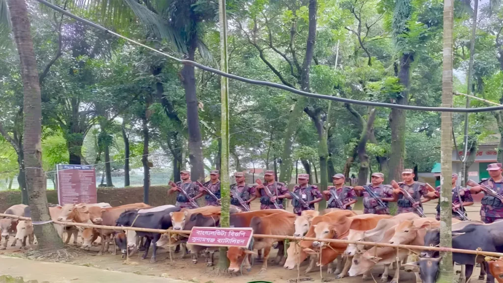 বাকাতলায় ভারতীয় ২৮ গরু জব্দ